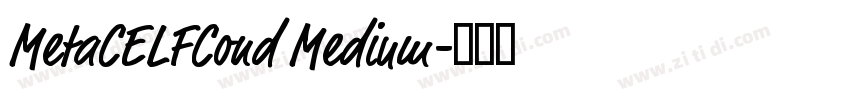 MetaCELFCond Medium字体转换